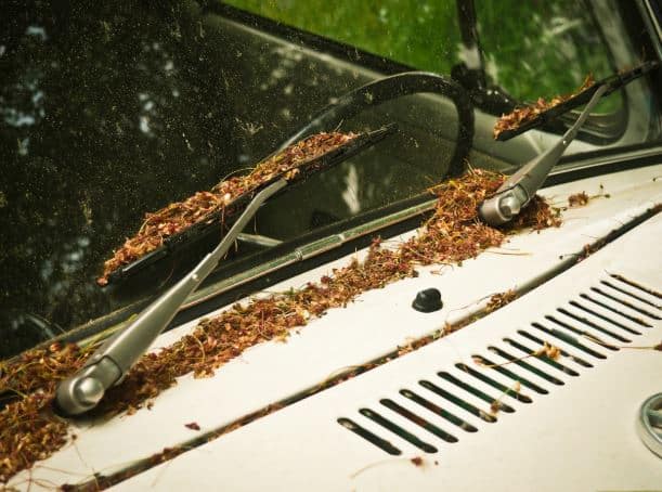 filtro polen coche