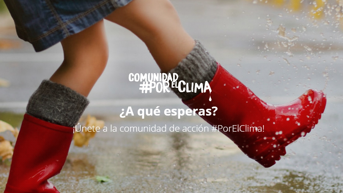 por el clima555
